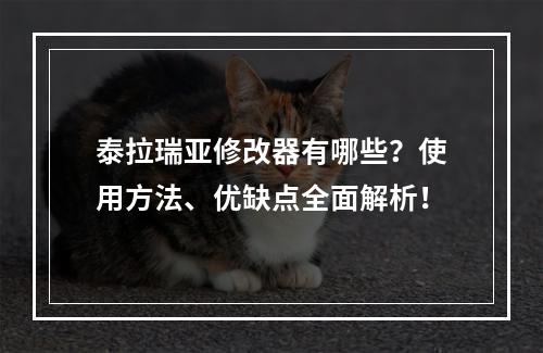 泰拉瑞亚修改器有哪些？使用方法、优缺点全面解析！