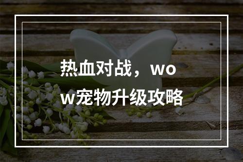 热血对战，wow宠物升级攻略