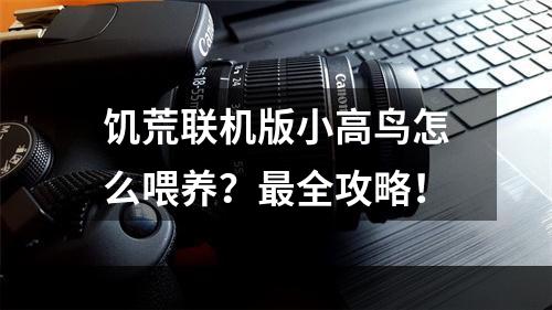 饥荒联机版小高鸟怎么喂养？最全攻略！