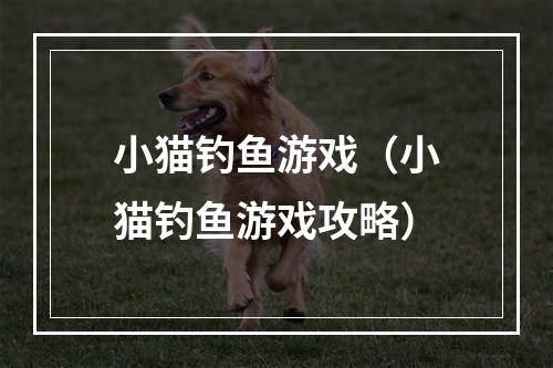 小猫钓鱼游戏（小猫钓鱼游戏攻略）