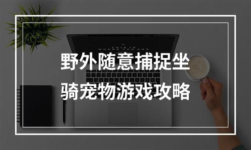 野外随意捕捉坐骑宠物游戏攻略