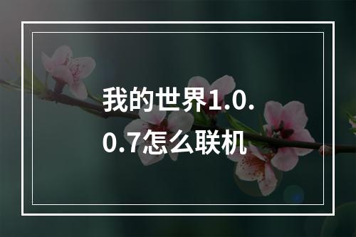 我的世界1.0.0.7怎么联机