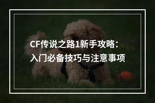 CF传说之路1新手攻略：入门必备技巧与注意事项