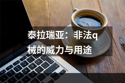 泰拉瑞亚：非法q械的威力与用途