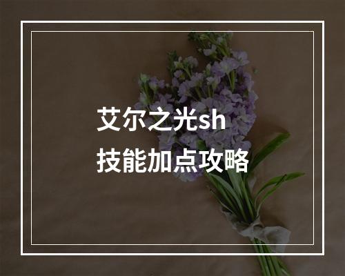 艾尔之光sh技能加点攻略