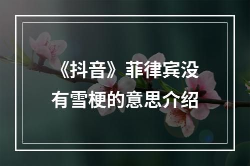 《抖音》菲律宾没有雪梗的意思介绍