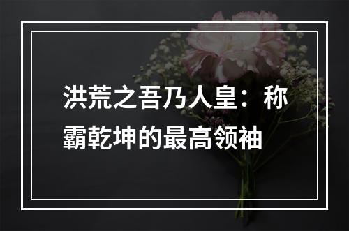 洪荒之吾乃人皇：称霸乾坤的最高领袖