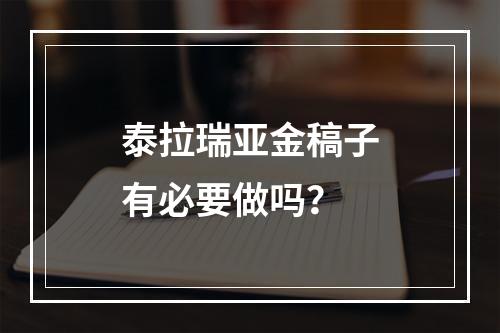 泰拉瑞亚金稿子有必要做吗？