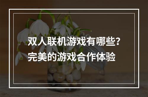 双人联机游戏有哪些？完美的游戏合作体验