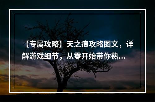 【专属攻略】天之痕攻略图文，详解游戏细节，从零开始带你熟悉游戏！