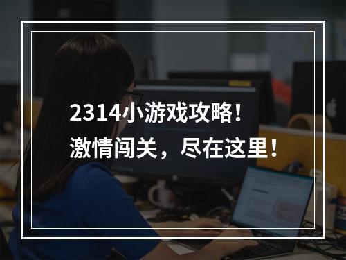 2314小游戏攻略！激情闯关，尽在这里！