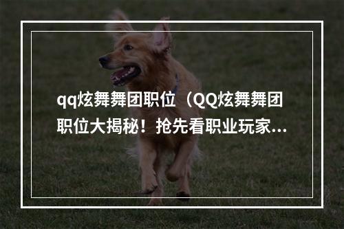 qq炫舞舞团职位（QQ炫舞舞团职位大揭秘！抢先看职业玩家都做什么）