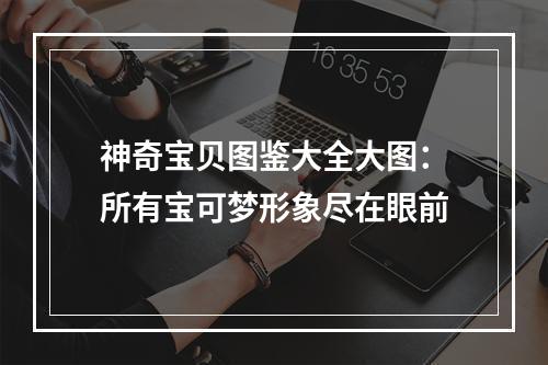 神奇宝贝图鉴大全大图：所有宝可梦形象尽在眼前