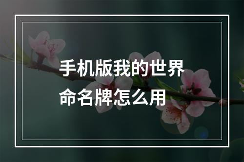 手机版我的世界命名牌怎么用