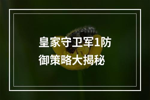 皇家守卫军1防御策略大揭秘