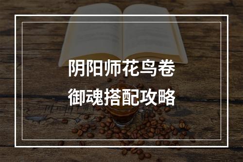 阴阳师花鸟卷御魂搭配攻略