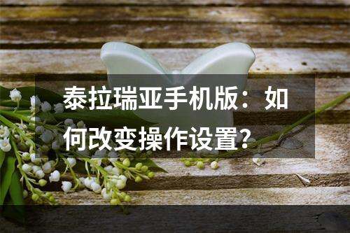 泰拉瑞亚手机版：如何改变操作设置？