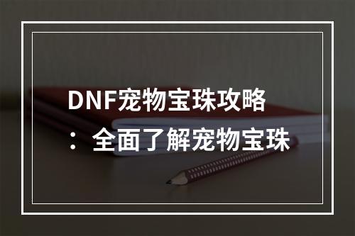 DNF宠物宝珠攻略：全面了解宠物宝珠