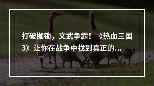 打破枷锁，文武争霸！《热血三国3》让你在战争中找到真正的自己！