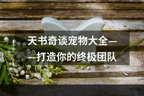 天书奇谈宠物大全——打造你的终极团队