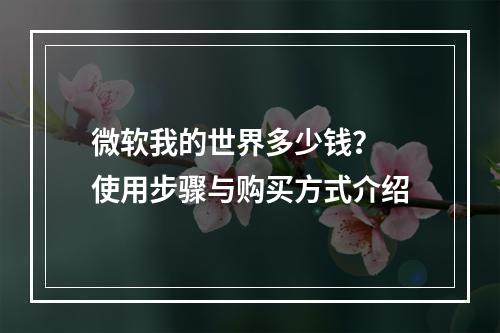 微软我的世界多少钱？ 使用步骤与购买方式介绍