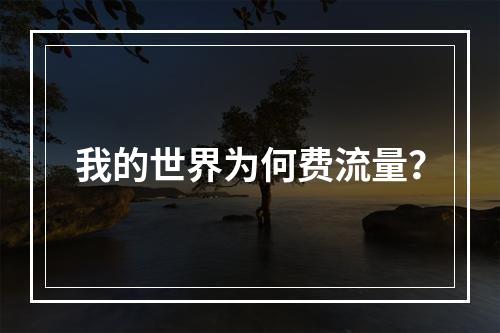 我的世界为何费流量？