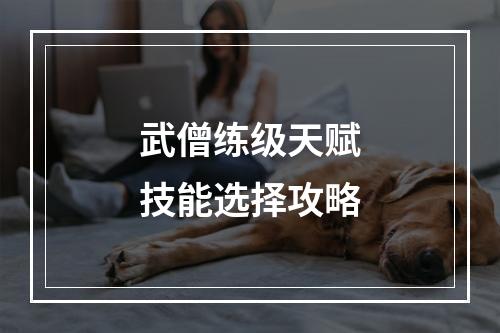 武僧练级天赋技能选择攻略