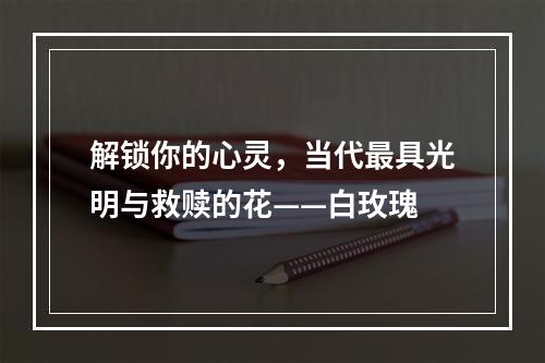 解锁你的心灵，当代最具光明与救赎的花——白玫瑰