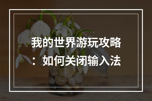 我的世界游玩攻略：如何关闭输入法