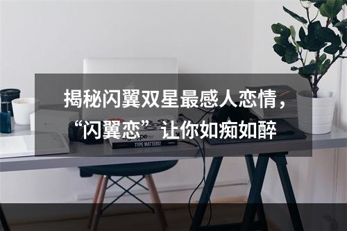 揭秘闪翼双星最感人恋情，“闪翼恋”让你如痴如醉