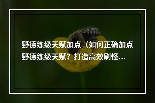 野德练级天赋加点（如何正确加点野德练级天赋？打造高效刷怪机器！）