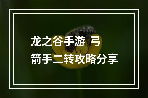 龙之谷手游  弓箭手二转攻略分享