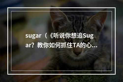 sugar（《听说你想追Sugar？教你如何抓住TA的心！》）