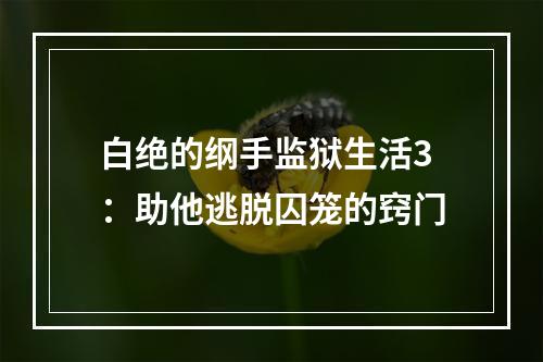 白绝的纲手监狱生活3：助他逃脱囚笼的窍门