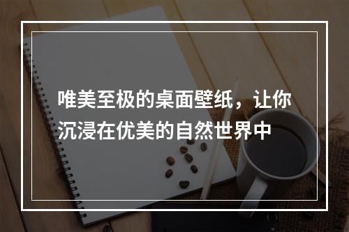 唯美至极的桌面壁纸，让你沉浸在优美的自然世界中