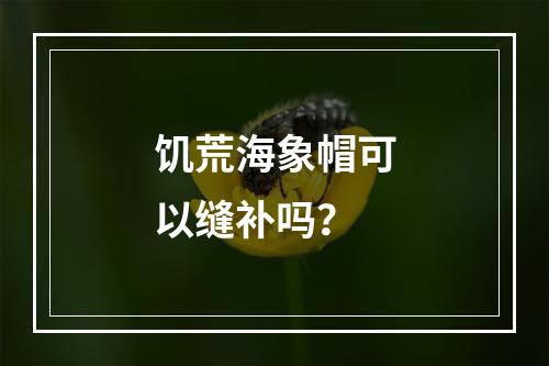 饥荒海象帽可以缝补吗？