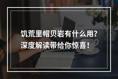 饥荒里帽贝岩有什么用？深度解读带给你惊喜！