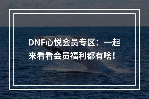 DNF心悦会员专区：一起来看看会员福利都有啥！