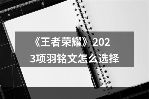 《王者荣耀》2023项羽铭文怎么选择