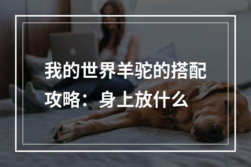 我的世界羊驼的搭配攻略：身上放什么