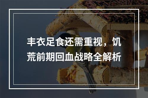 丰衣足食还需重视，饥荒前期回血战略全解析