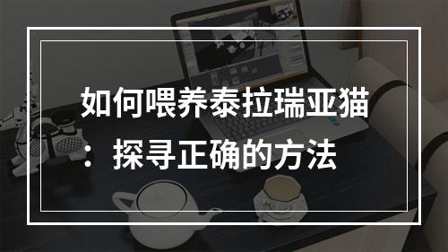 如何喂养泰拉瑞亚猫：探寻正确的方法