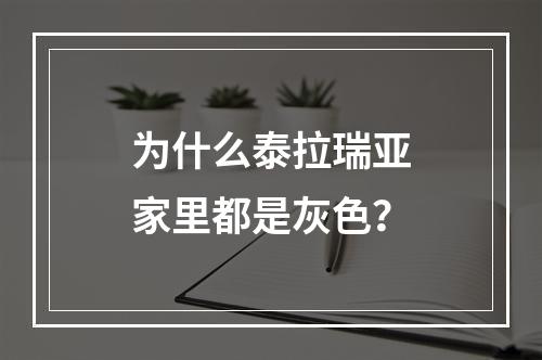 为什么泰拉瑞亚家里都是灰色？