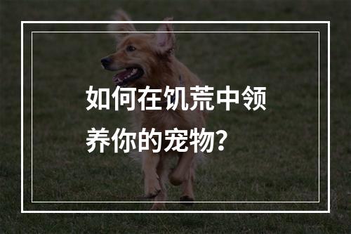 如何在饥荒中领养你的宠物？