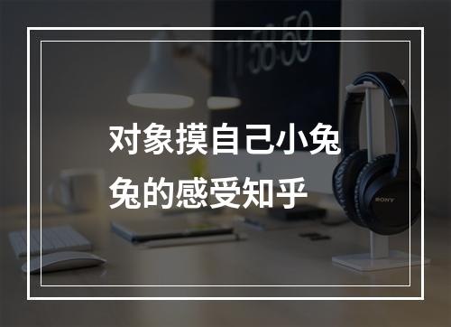 对象摸自己小兔兔的感受知乎