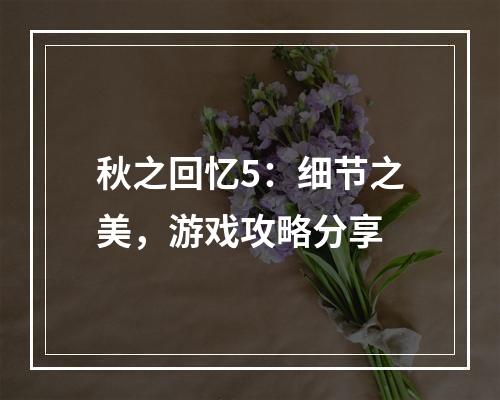 秋之回忆5：细节之美，游戏攻略分享