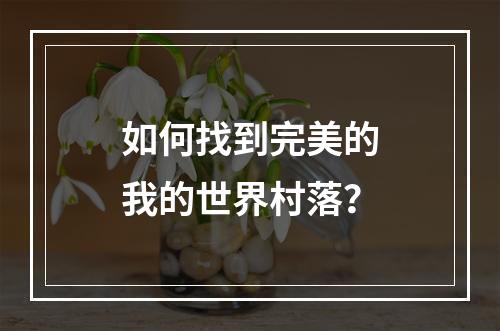 如何找到完美的我的世界村落？