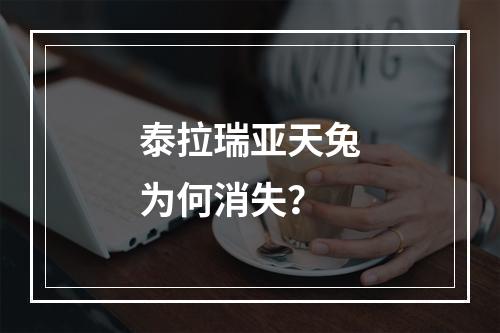 泰拉瑞亚天兔为何消失？