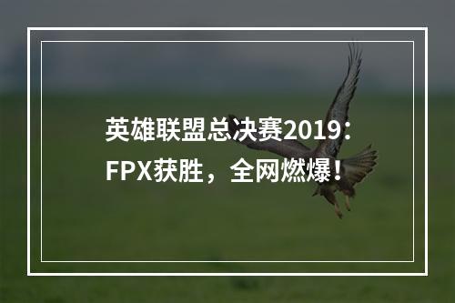 英雄联盟总决赛2019：FPX获胜，全网燃爆！