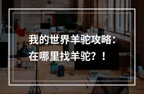 我的世界羊驼攻略：在哪里找羊驼？！